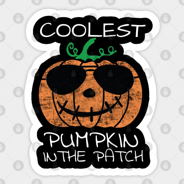 Coolest Pumpkin In The Patch Halloween Sticker by SamDesigns